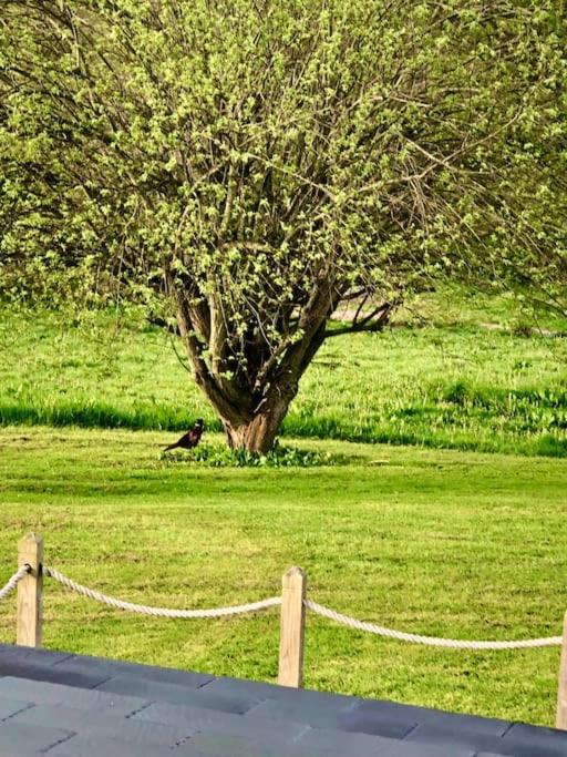 Wolves NewtonCosy Farmhouse Escape In Monmouthshire别墅 外观 照片