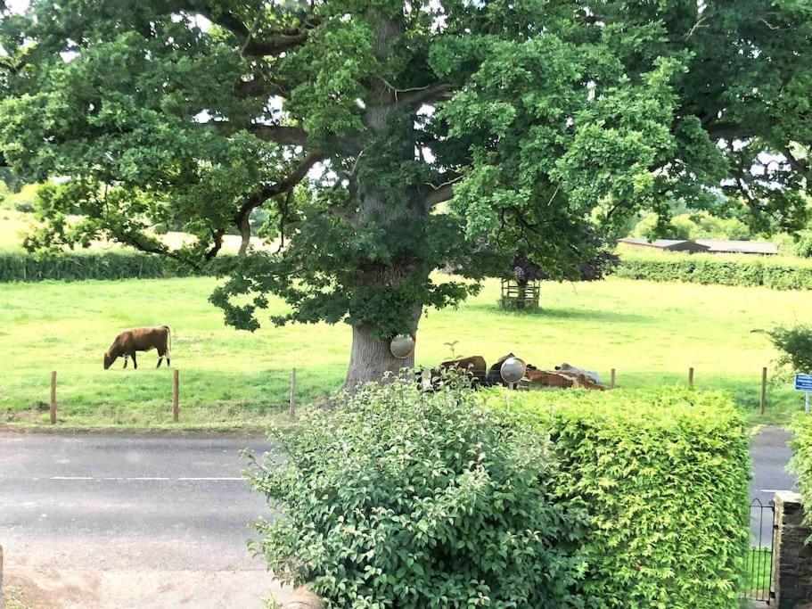 Wolves NewtonCosy Farmhouse Escape In Monmouthshire别墅 外观 照片